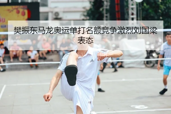 樊振东马龙奥运单打名额竞争激烈刘国梁表态