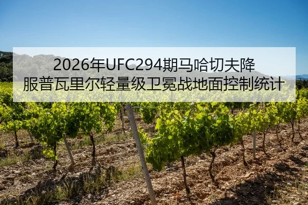 2026年UFC294期马哈切夫降服普瓦里尔轻量级卫冕战地面控制统计