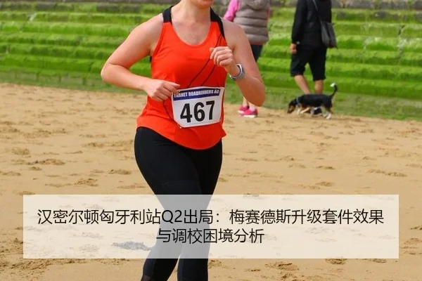han-mi-er-dun-xiong-ya-li-zhan-chu-ju-mei-sai-de-si-sheng-ji-tao-jian-xiao-guo-yu-diao-xiao-kun-jing-fen-xi-2-730.jpg